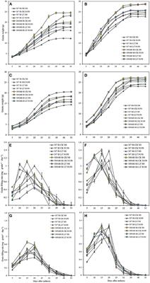 Super Rice With High Sink Activities Has Superior Adaptability to Low Filling Stage Temperature